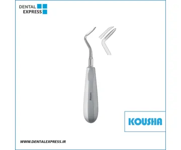الواتور سوزني چپ Flohr کوشا – Kousha