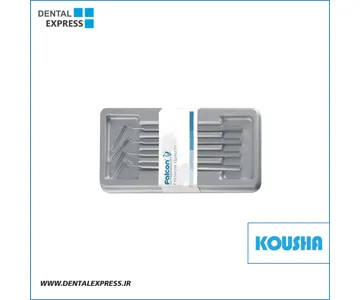 ست هند پلاگر عددى ٤ کوشا – ⁦Kousha⁩