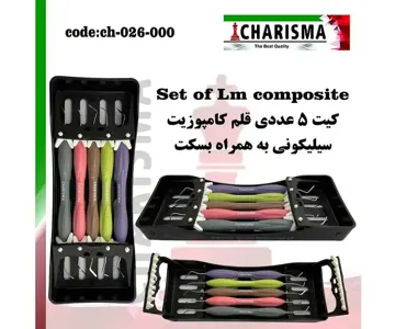 ست قلم کامپوزیت سیلیکونی سولو کاریزما مدل LM + بسکت