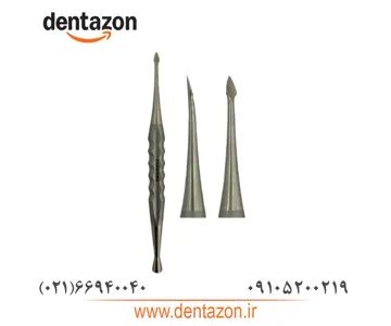 پریوتوم نوک مثلثی ( دسموتوم ) کاریزما