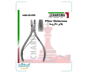 پلایر دلاروسا کاریزما
