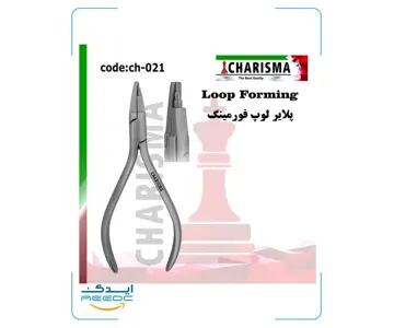 پلایر لوپ فورمینگ کاریزما