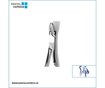 فورسپس ریشه کش پایین دناپویا Dena Puya مدل Wetzel