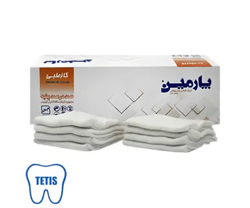 گاز 10در10‌پارمین