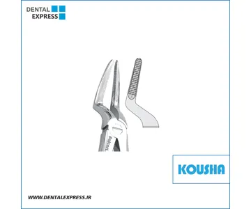 ريشه كش بالا بلند fig:٥١M کوشا – ⁦Kousha⁩
